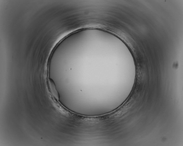 X0000097901044200803281335