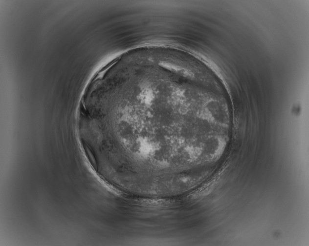 X0000097901045200803281335