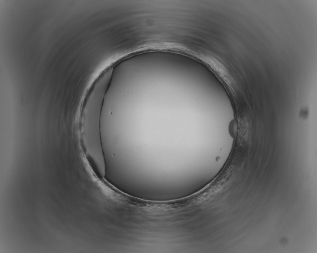 X0000097901046200803281335