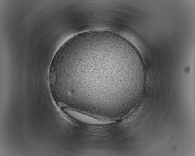 X0000097901047200803281335