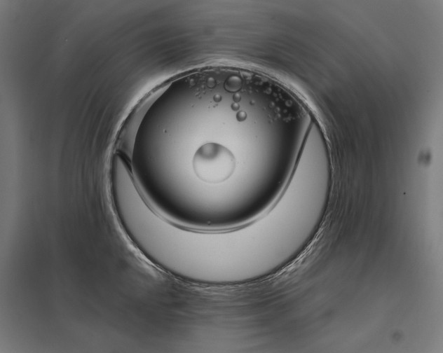 X0000097901048200803281335