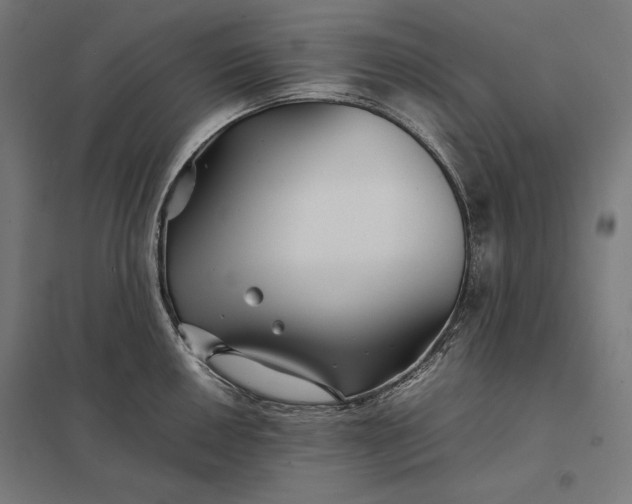 X0000097901050200803281335