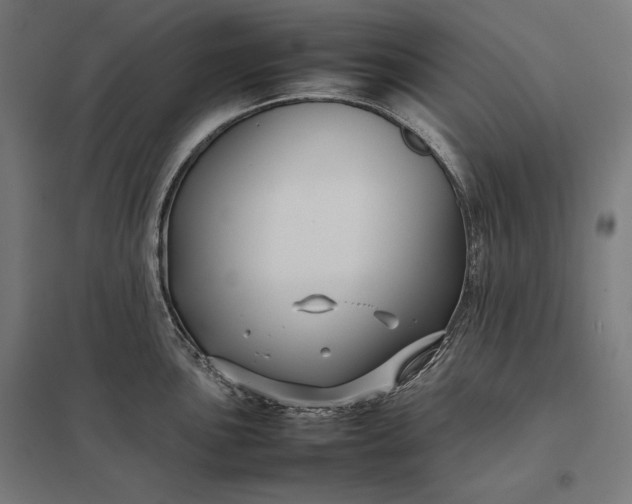 X0000097901051200803281335