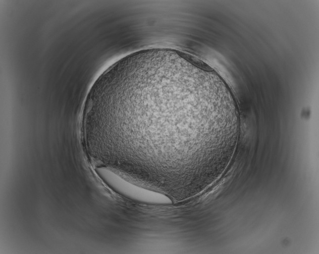 X0000097901052200803281335