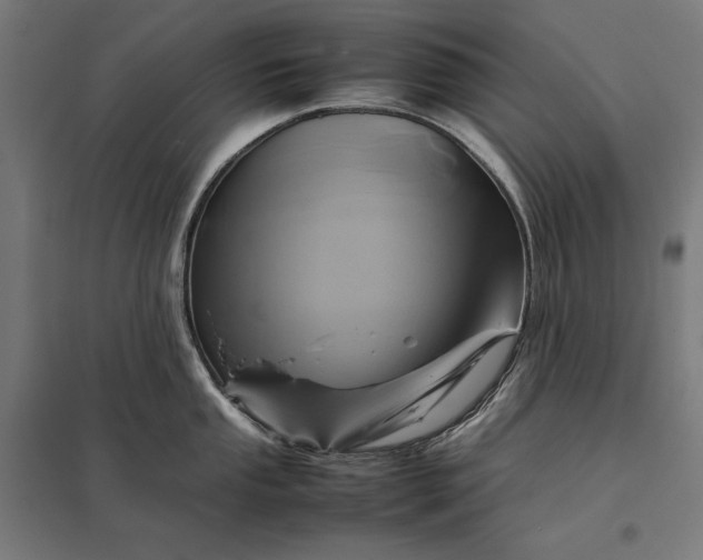 X0000097901053200803281335