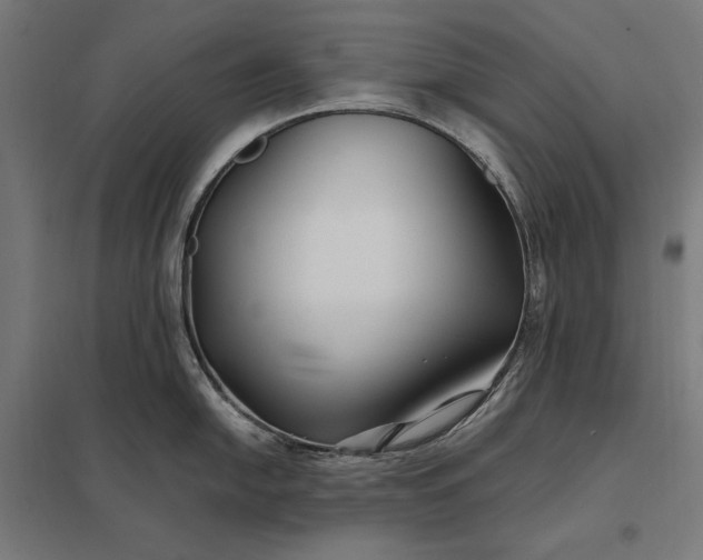 X0000097901054200803281335