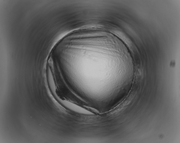 X0000097901055200803281335