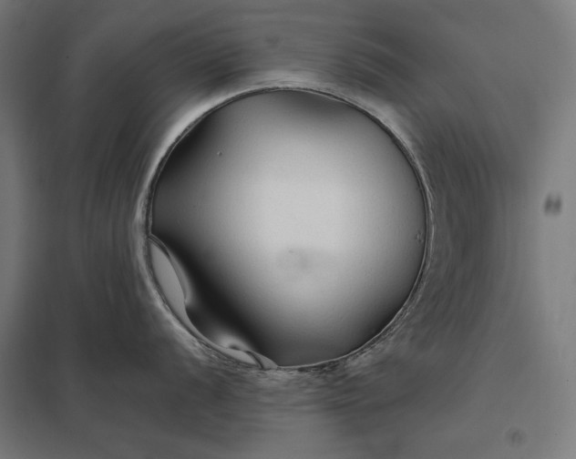 X0000097901056200803281335