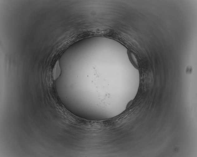 X0000097901058200803281334