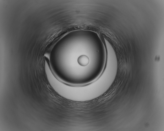 X0000097901060200803281334