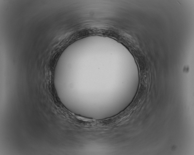 X0000097901061200803281334