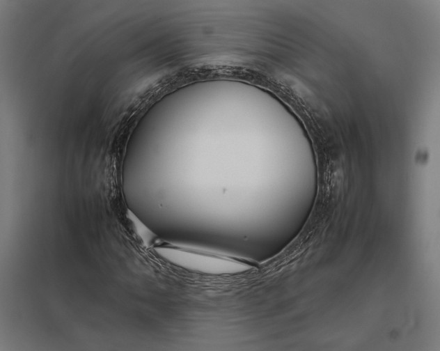 X0000097901062200803281334