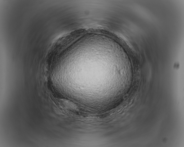 X0000097901063200803281334