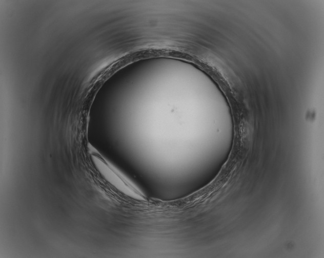 X0000097901064200803281334