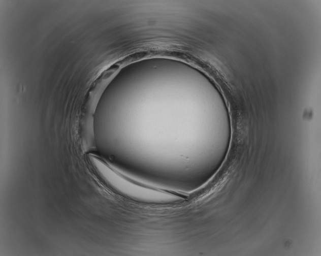 X0000097901065200803281334