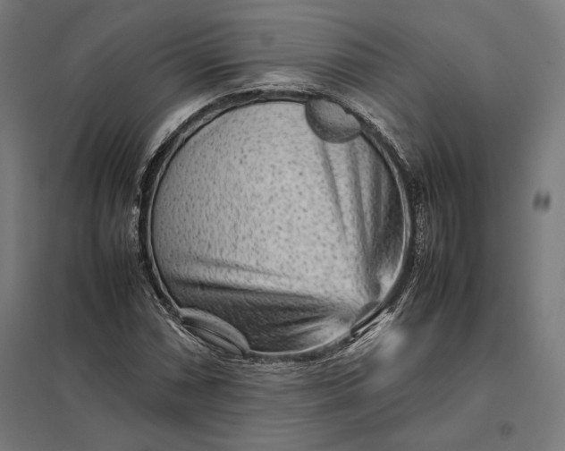 X0000097901066200803281334