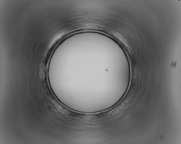 X0000097901067200803281334