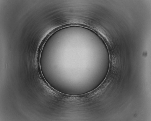 X0000097901068200803281334