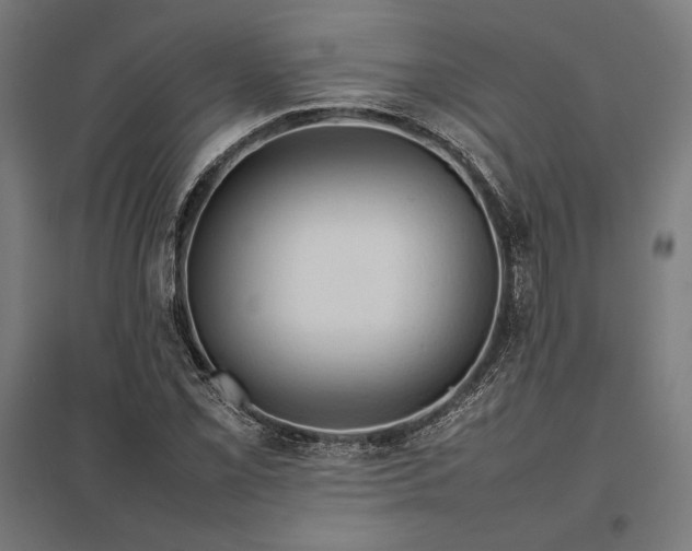 X0000097901069200803281334