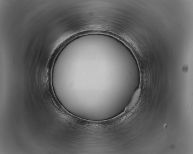 X0000097901070200803281334