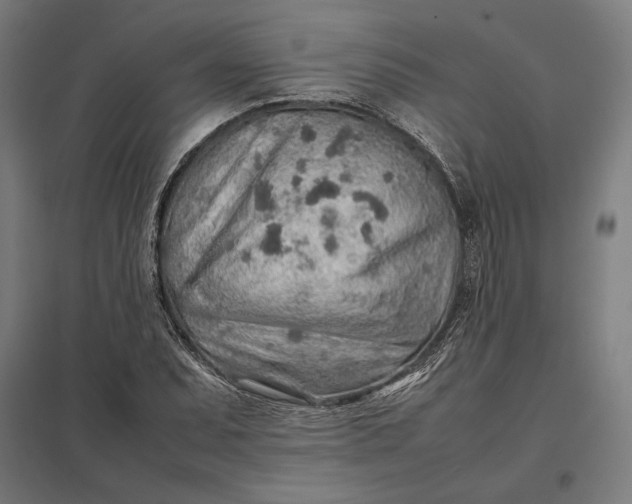 X0000097901071200803281334