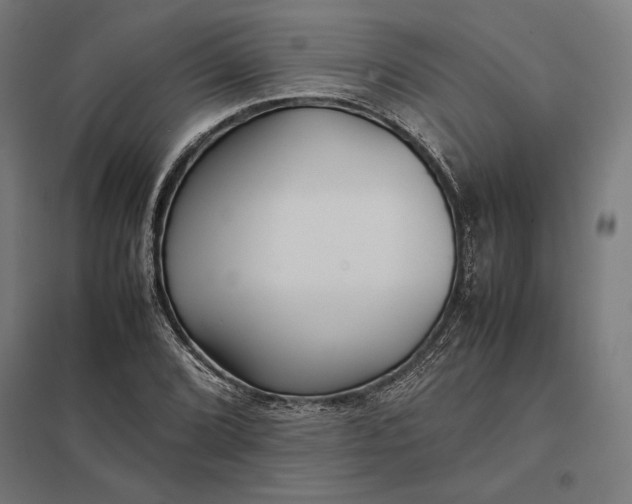 X0000097901072200803281334