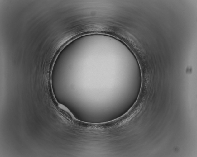 X0000097901073200803281334