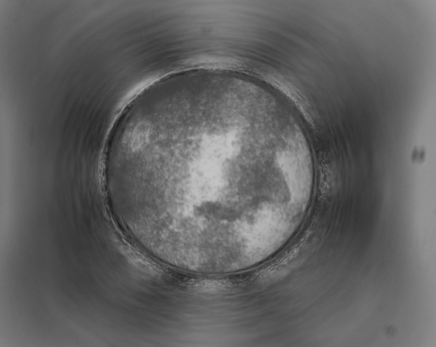 X0000097901074200803281334