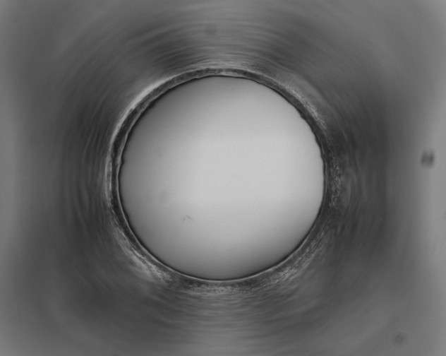 X0000097901076200803281334