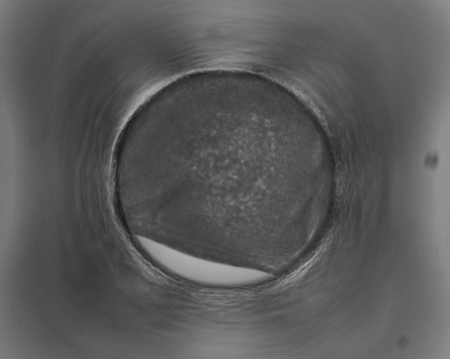 X0000097901077200803281334