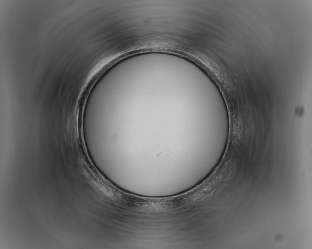 X0000097901078200803281334