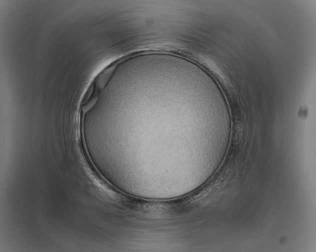 X0000097901079200803281334