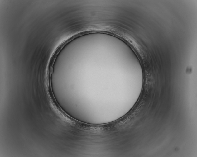 X0000097901080200803281334