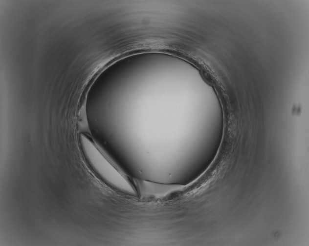 X0000097901081200803281334