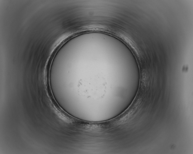 X0000097901082200803281334