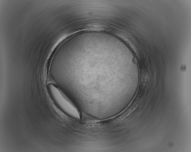 X0000097901083200803281334