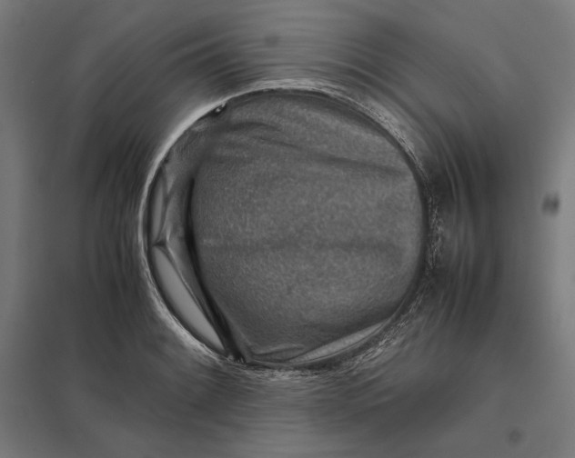 X0000097901084200803281334