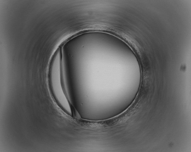 X0000097901085200803281334