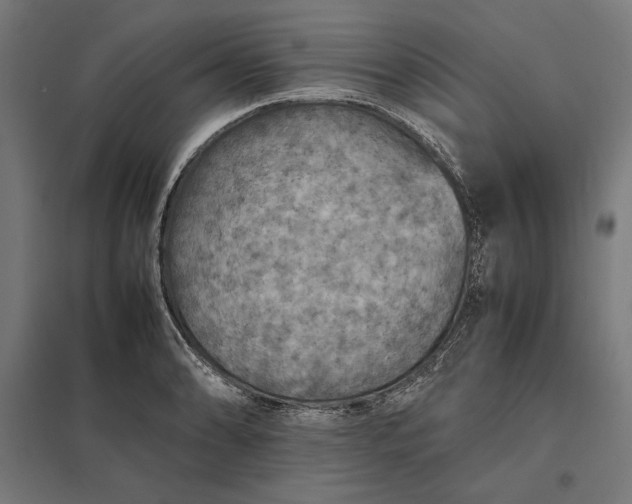 X0000097901086200803281334