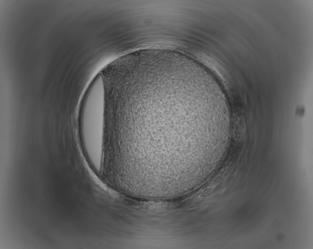 X0000097901087200803281334