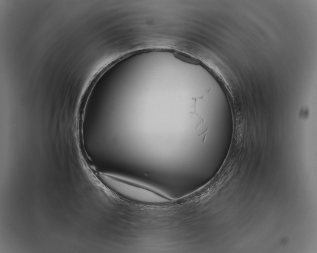 X0000097901088200803281334