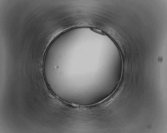 X0000097901089200803281334