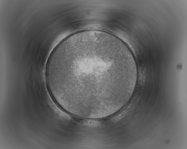 X0000097901090200803281334