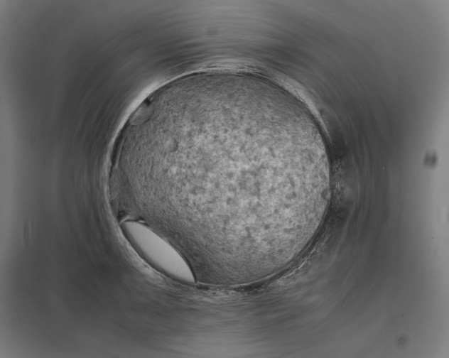 X0000097901091200803281334