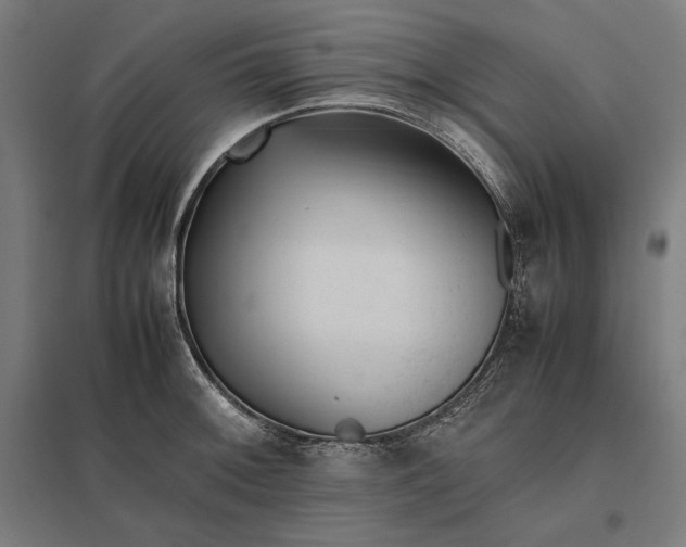 X0000097901092200803281334