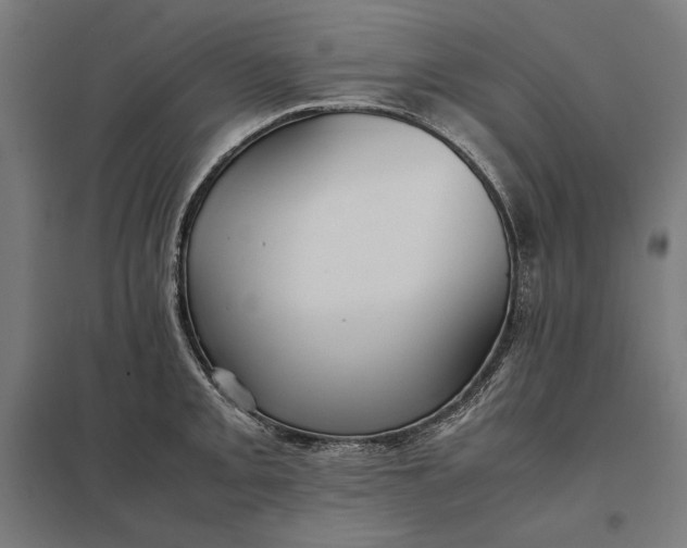 X0000097901093200803281334