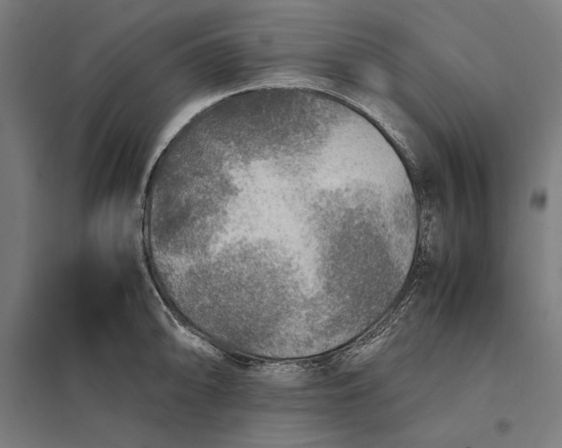 X0000097901094200803281334