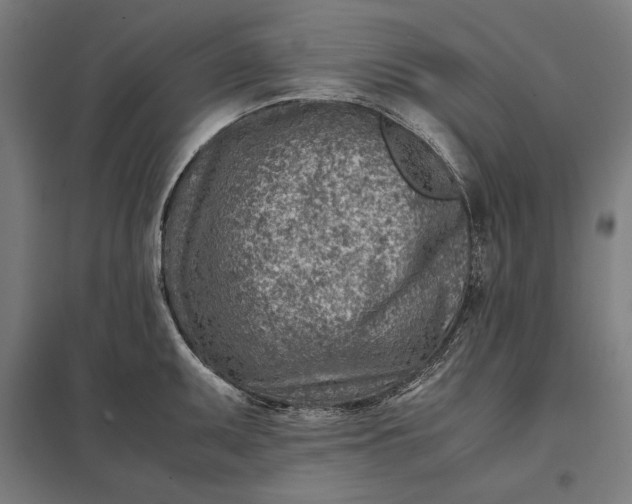 X0000097901095200803281334