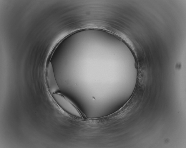 X0000097901096200803281334