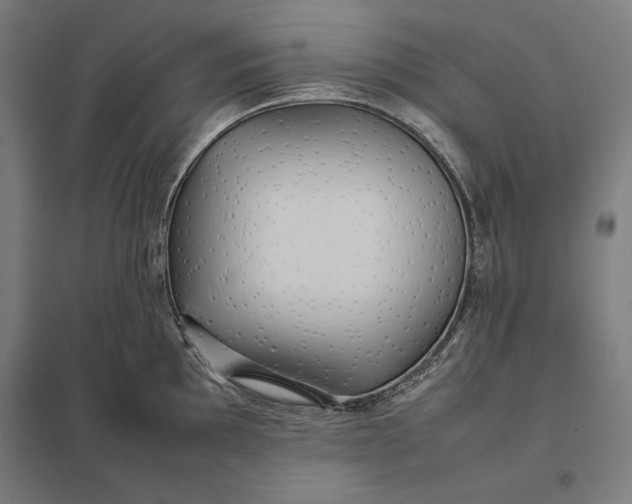 X0000097901097200803281334